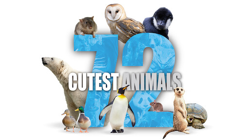 Watch 72 Dangerous Animals: Latin America | Netflix Official Site Watch 72 Dangerous Animals: Latin America | Netflix Official Site