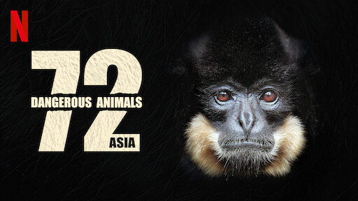 Watch 72 Dangerous Animals: Latin America | Netflix Official Site Watch 72 Dangerous Animals: Latin America | Netflix Official Site